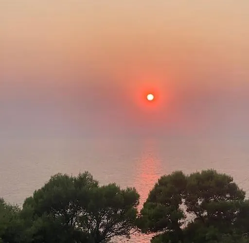 La Gemma Di Orrico *