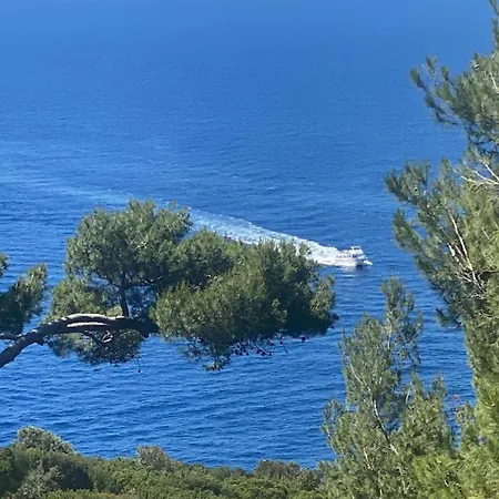 La Gemma Di Orrico *