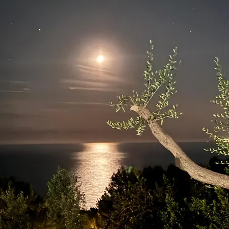 La Gemma Di Orrico * Anacapri (Isola di Capri)